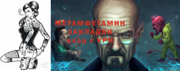 сатива Беломорск