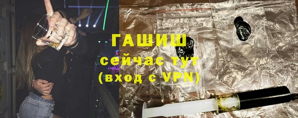сатива Беломорск