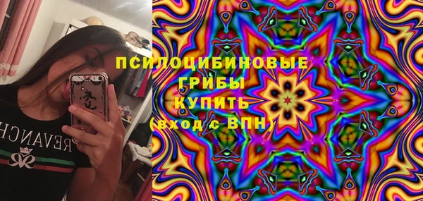 сатива Беломорск