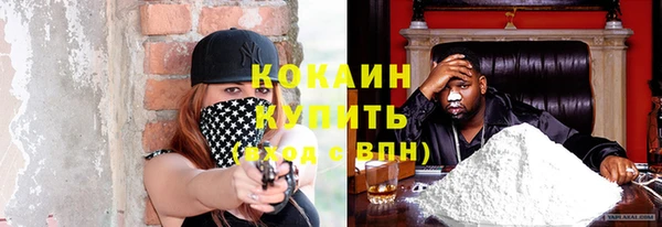 сатива Беломорск