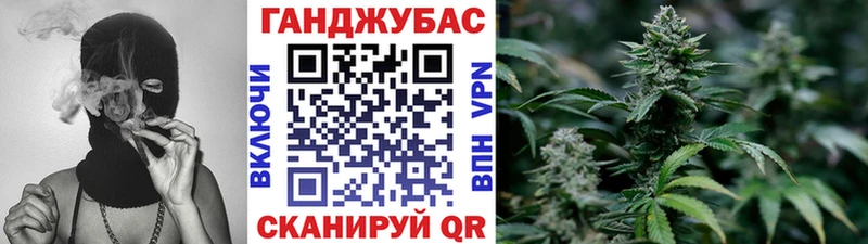 где найти Гаврилов-Ям Бошки Шишки сатива